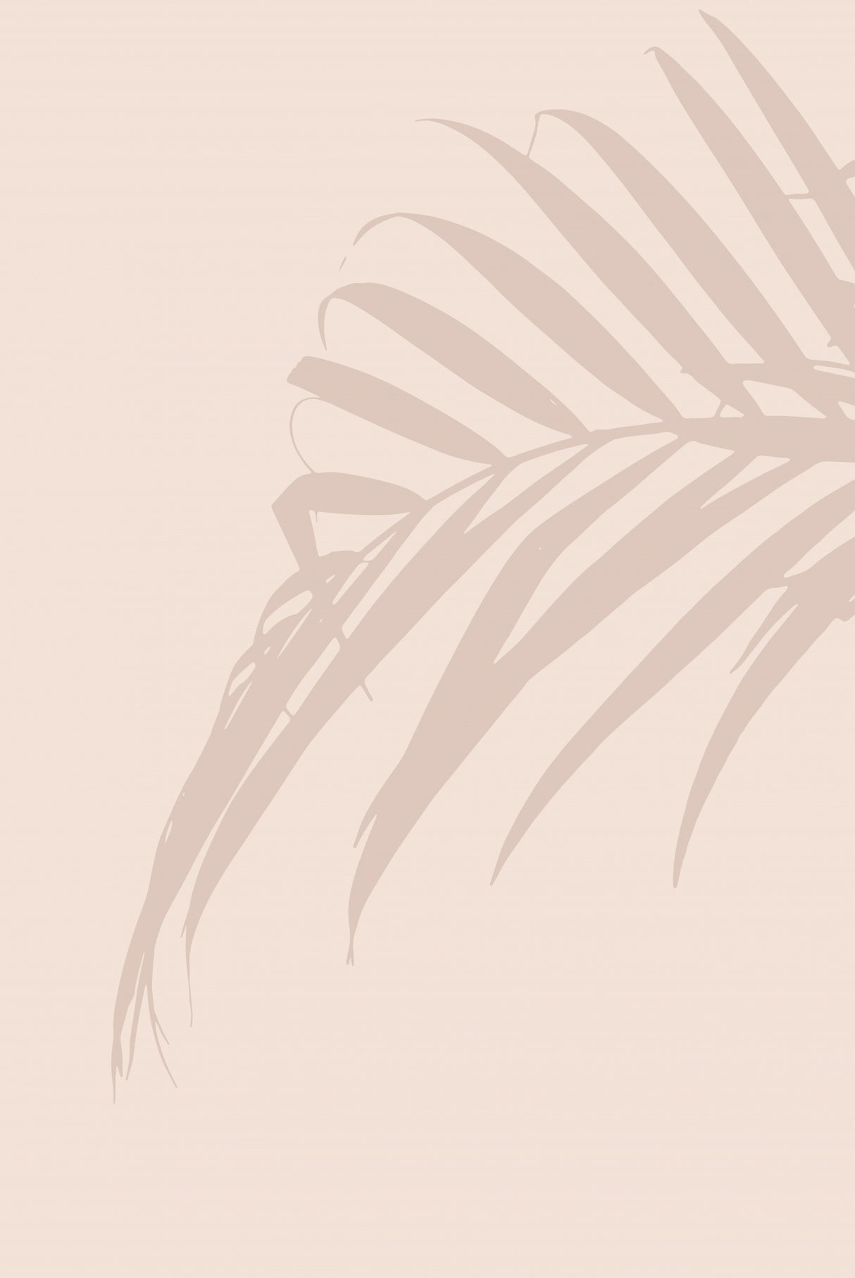 Palm Leaf Poster och Canvastavla