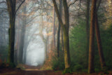 Once Upon A Dream Poster och Canvastavla