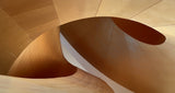 Curves Poster och Canvastavla