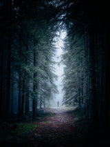Out of darkness Poster och Canvastavla