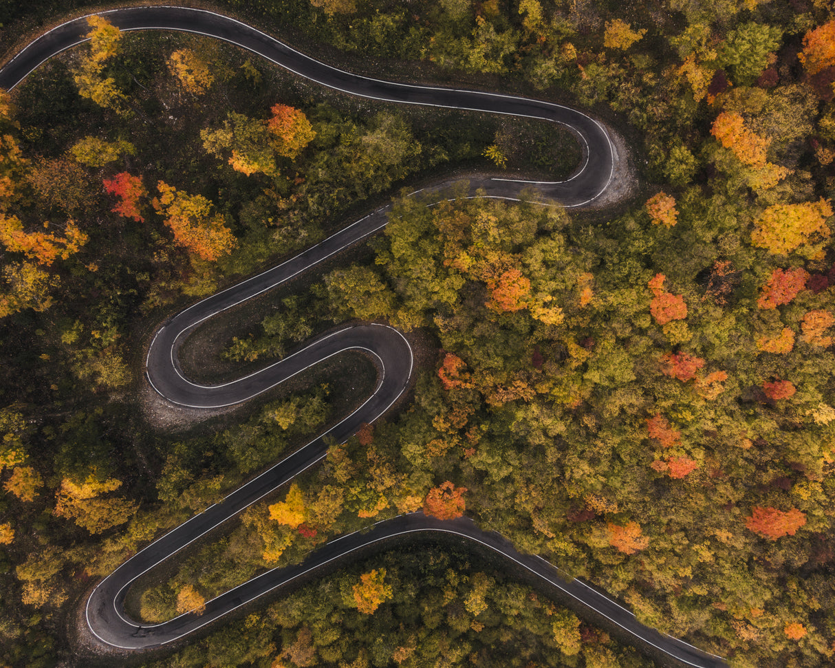 autumn way Poster och Canvastavla
