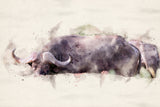 Abstract African Buffalo Watercolor Art Poster och Canvastavla