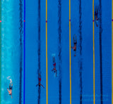 Race from top Poster och Canvastavla
