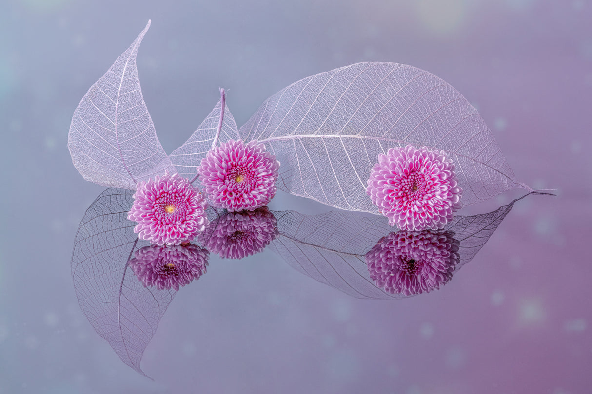 flowers and leaves Poster och Canvastavla