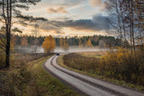 Drive in autumn colors Poster och Canvastavla