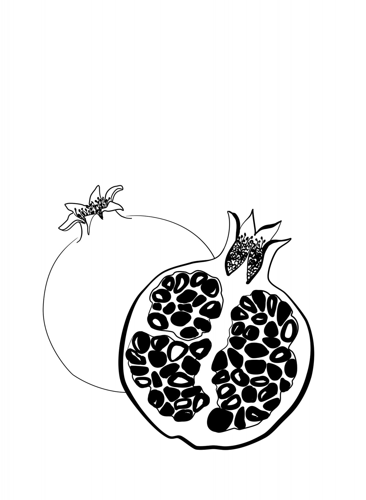 Line art pomegranates Poster och Canvastavla