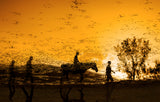 sunset Poster och Canvastavla