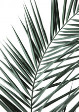 My Mint Moment 19 Poster och Canvastavla
