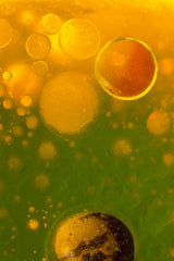 Spring fantasy Poster och Canvastavla