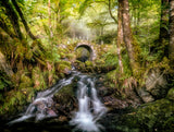 Fairy Bridge Poster och Canvastavla