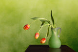 Droopy Tulips Poster och Canvastavla