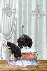 Ostriches &amp; Bubbles Poster och Canvastavla