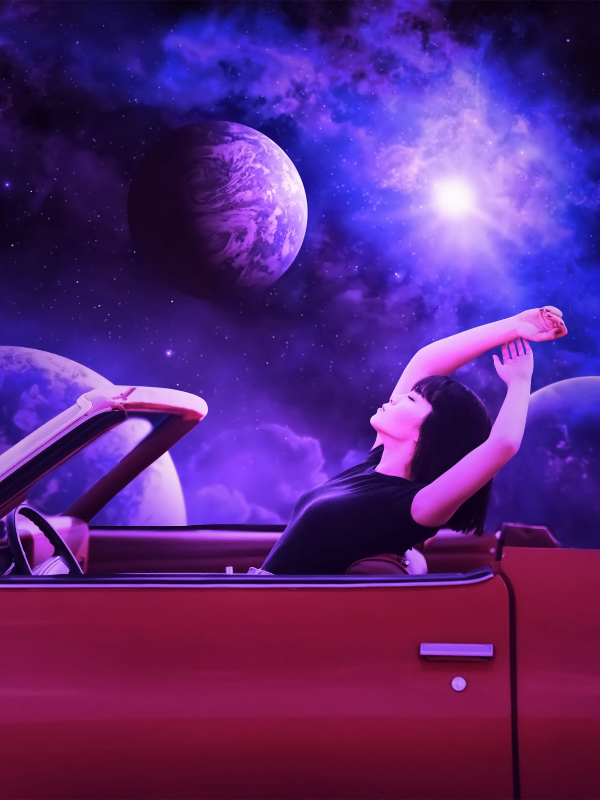 Space Trip Poster och Canvastavla