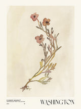 Watercolor print collection. Flower market - Washington Poster och Canvastavla