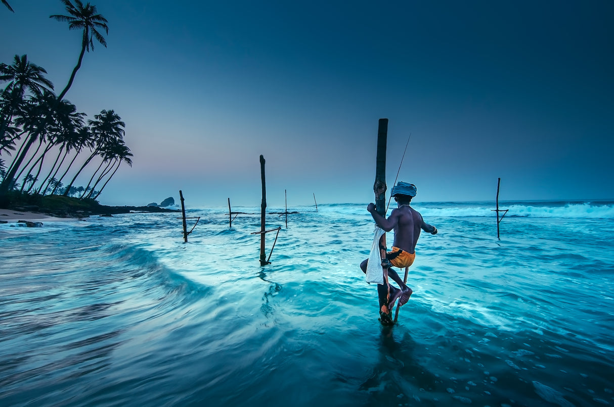 Fishing at sunrise Poster och Canvastavla