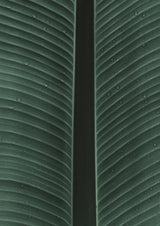 My Mint Moment 12 Poster och Canvastavla