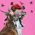 Spring Flower Bonnet On Cat Poster och Canvastavla