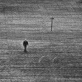 Poster och Canvastavla