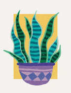 Plant in the Sun Poster och Canvastavla