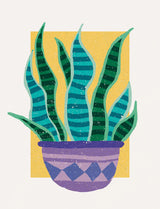 Plant in the Sun Poster och Canvastavla