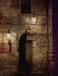 moving shadow Poster och Canvastavla