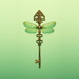 Key Dragonfly Poster och Canvastavla