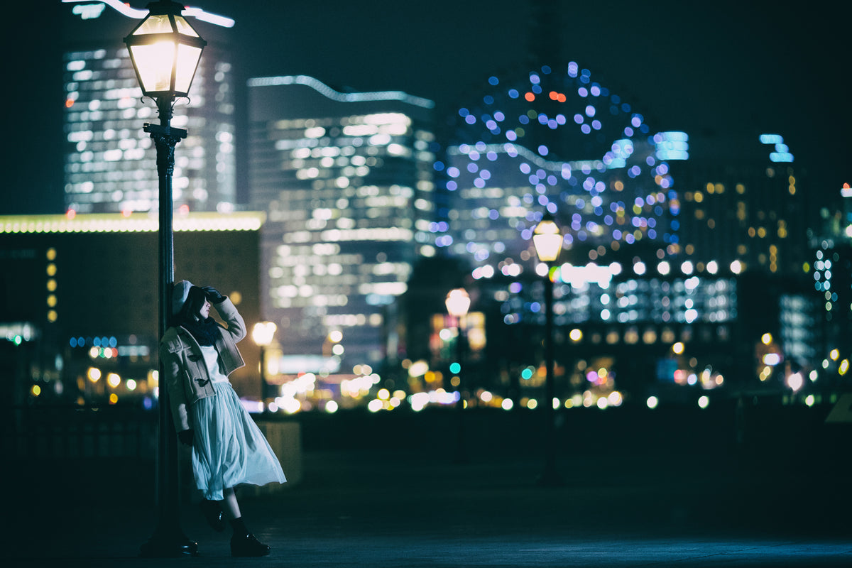 City Lights Poster och Canvastavla