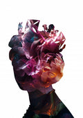 Queen Elizabeth Abstract Flowers Poster och Canvastavla