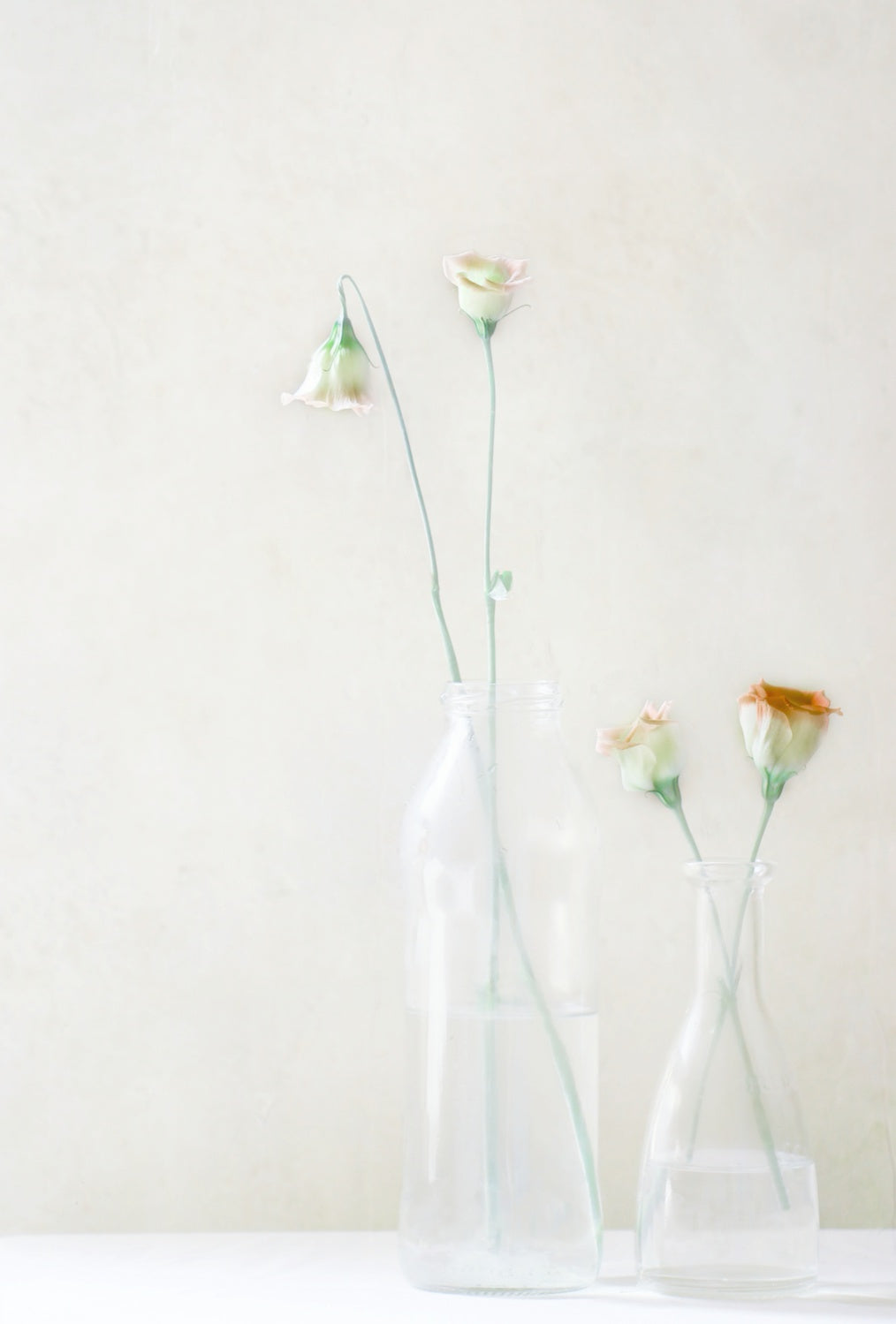 Simplicity and Elegance Poster och Canvastavla