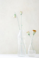 Simplicity and Elegance Poster och Canvastavla