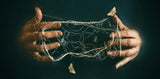 Entwined Poster och Canvastavla