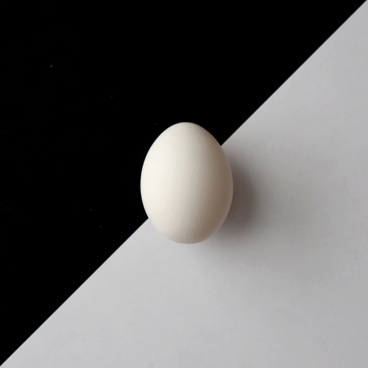 Egg Poster och Canvastavla