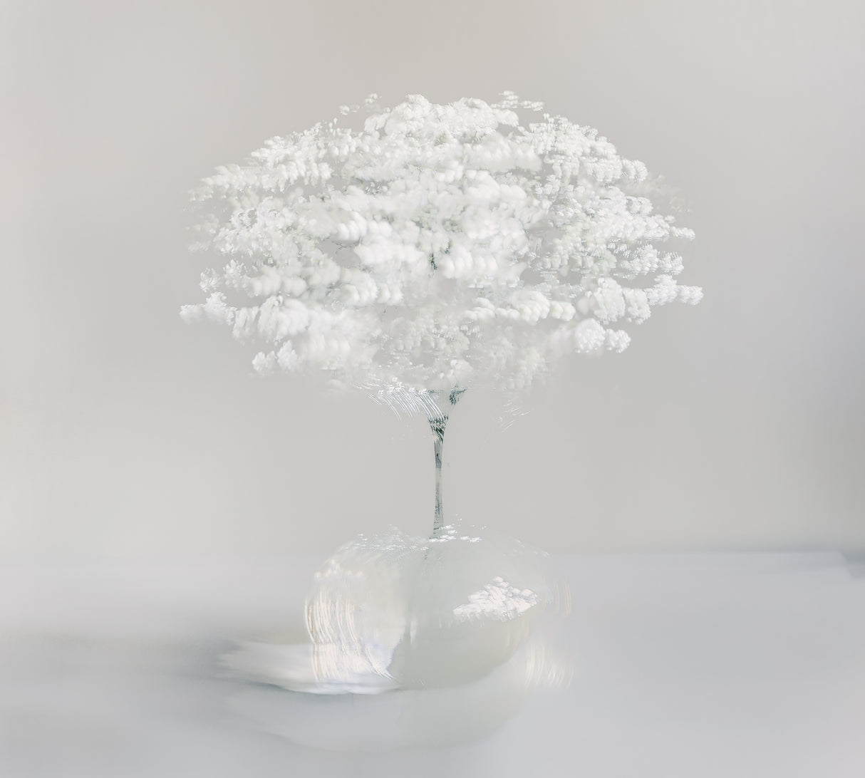 Innocent white Poster och Canvastavla