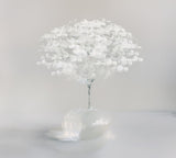 Innocent white Poster och Canvastavla