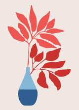 Strawberry Ficus Poster och Canvastavla