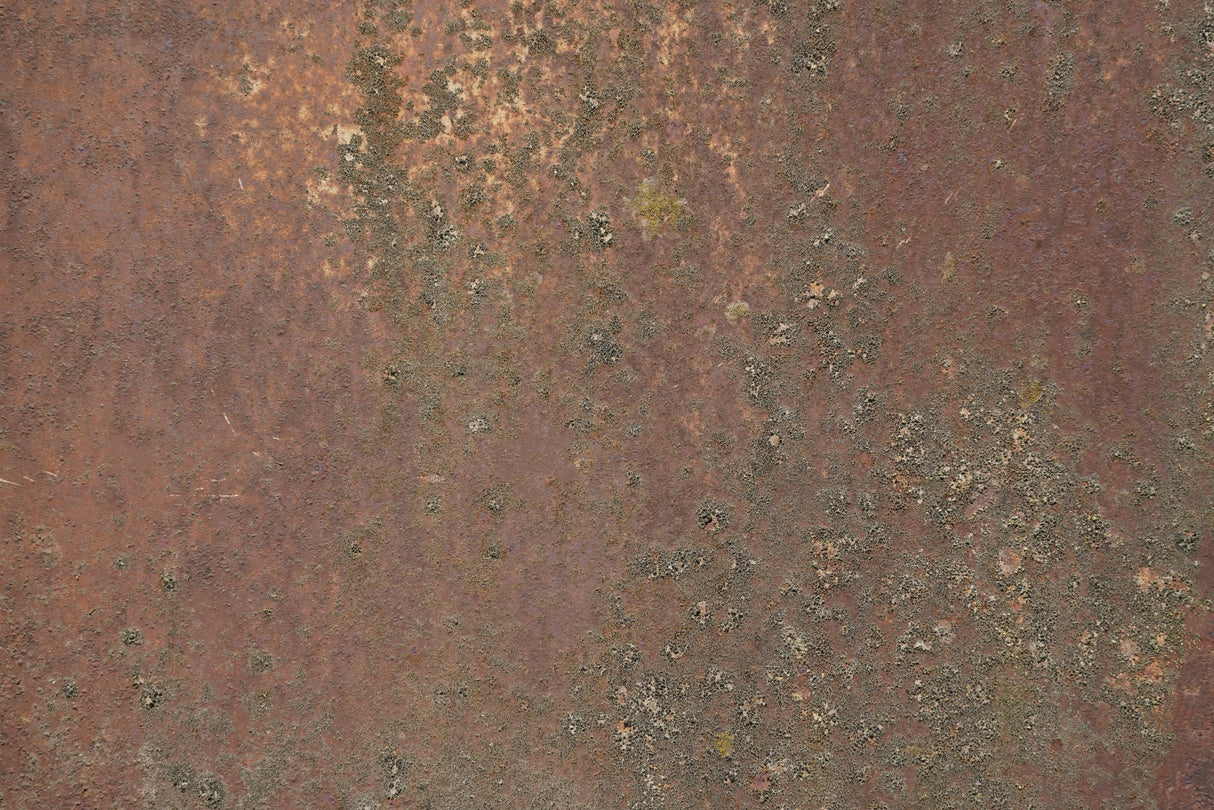 Rust 29 Poster och Canvastavla