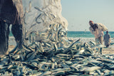 Fishing Sardine Poster och Canvastavla