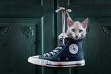 CatShoe Poster och Canvastavla