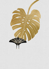 Butterfly & Monstera Leaf Poster och Canvastavla