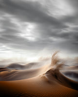 Desert Waves Poster och Canvastavla