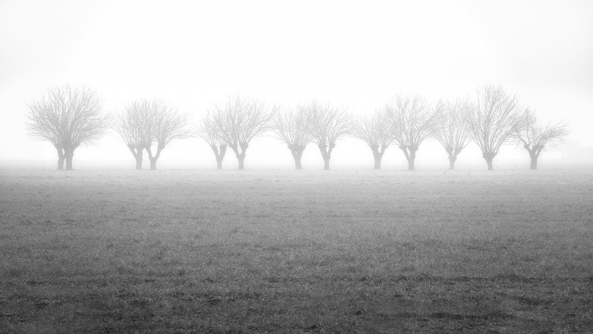 winter silence Poster och Canvastavla