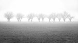 winter silence Poster och Canvastavla