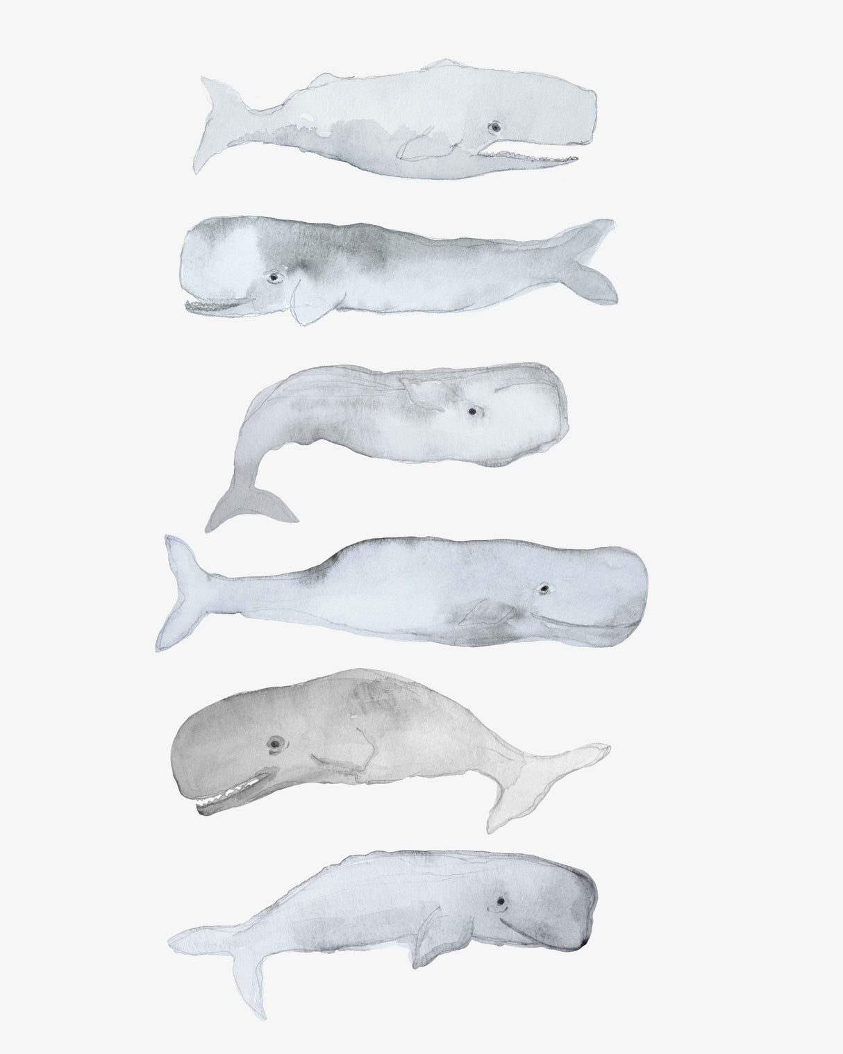 Kids Line Whale Art Poster och Canvastavla