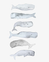 Kids Line Whale Art Poster och Canvastavla