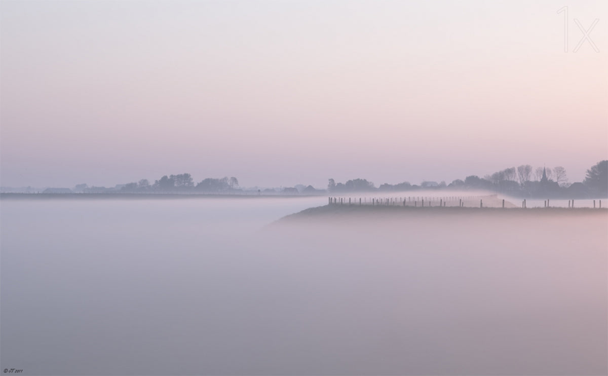 A misty morning Poster och Canvastavla