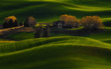 Farmland Golden Light Poster och Canvastavla