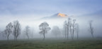 Foggy autumn morning Poster och Canvastavla