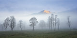 Foggy autumn morning Poster och Canvastavla