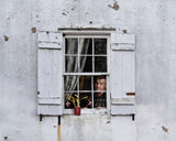 Social distancing and a faded flower Poster och Canvastavla