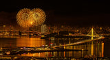 New Year 2024 at San Francisco Poster och Canvastavla